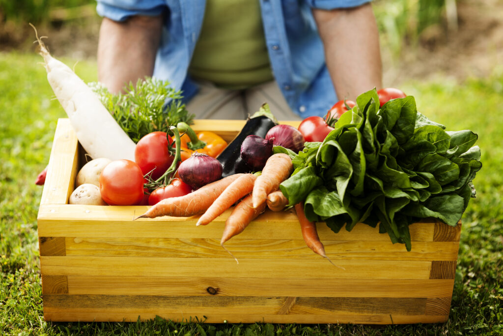 Wooden box filled with fresh, locally-sourced organic vegetables, highlighting the farm-to-door delivery of healthy produce in California.